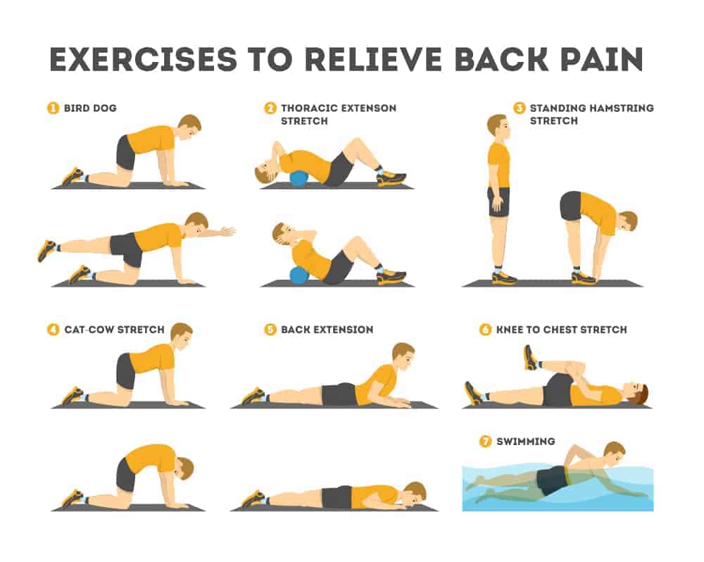 Exercises for common back and joint pains